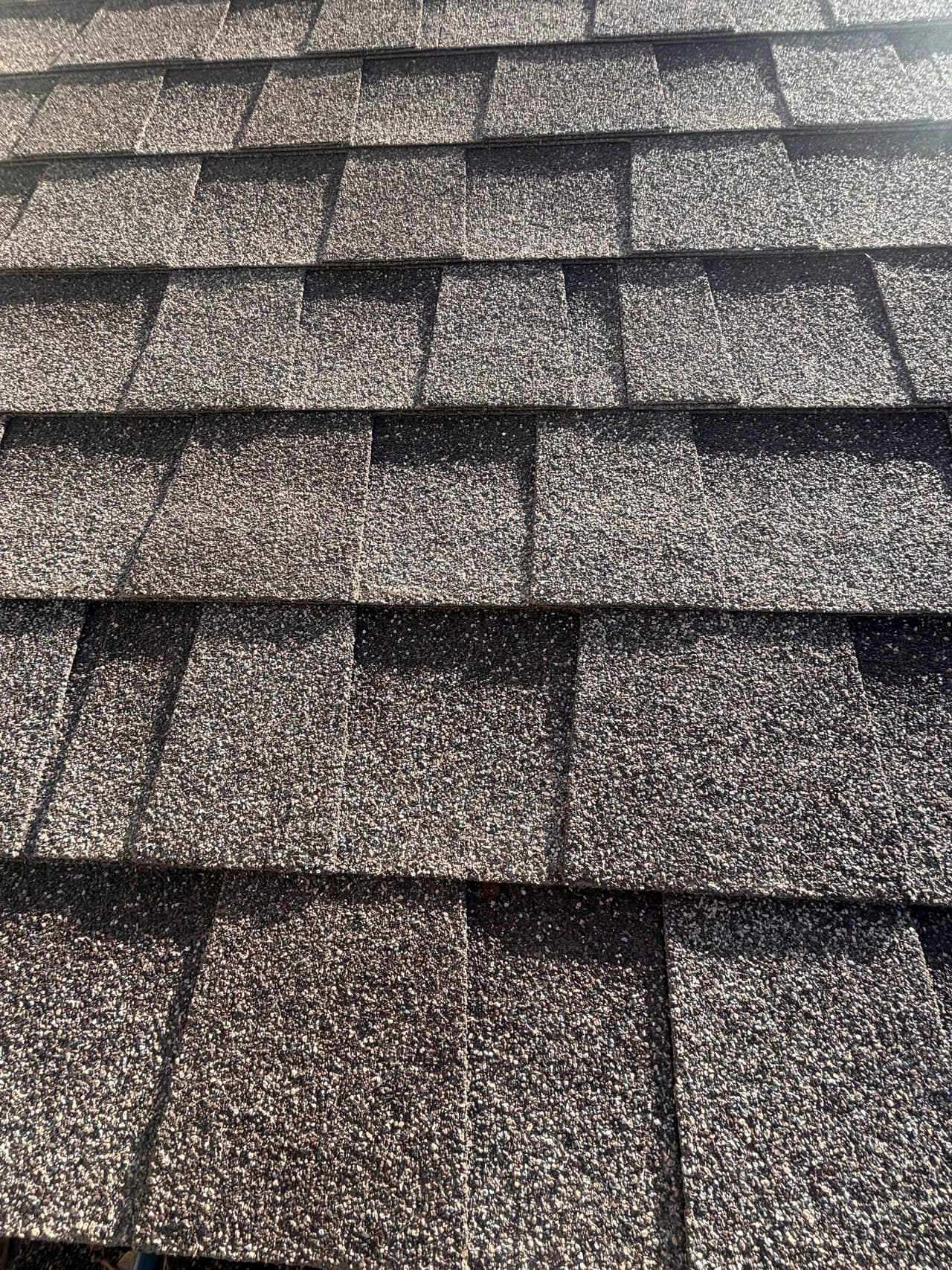 Close-up of a residential asphalt shingle